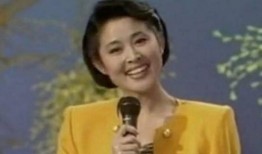 倪萍爆料朱军视频播放,真相背后引人深思